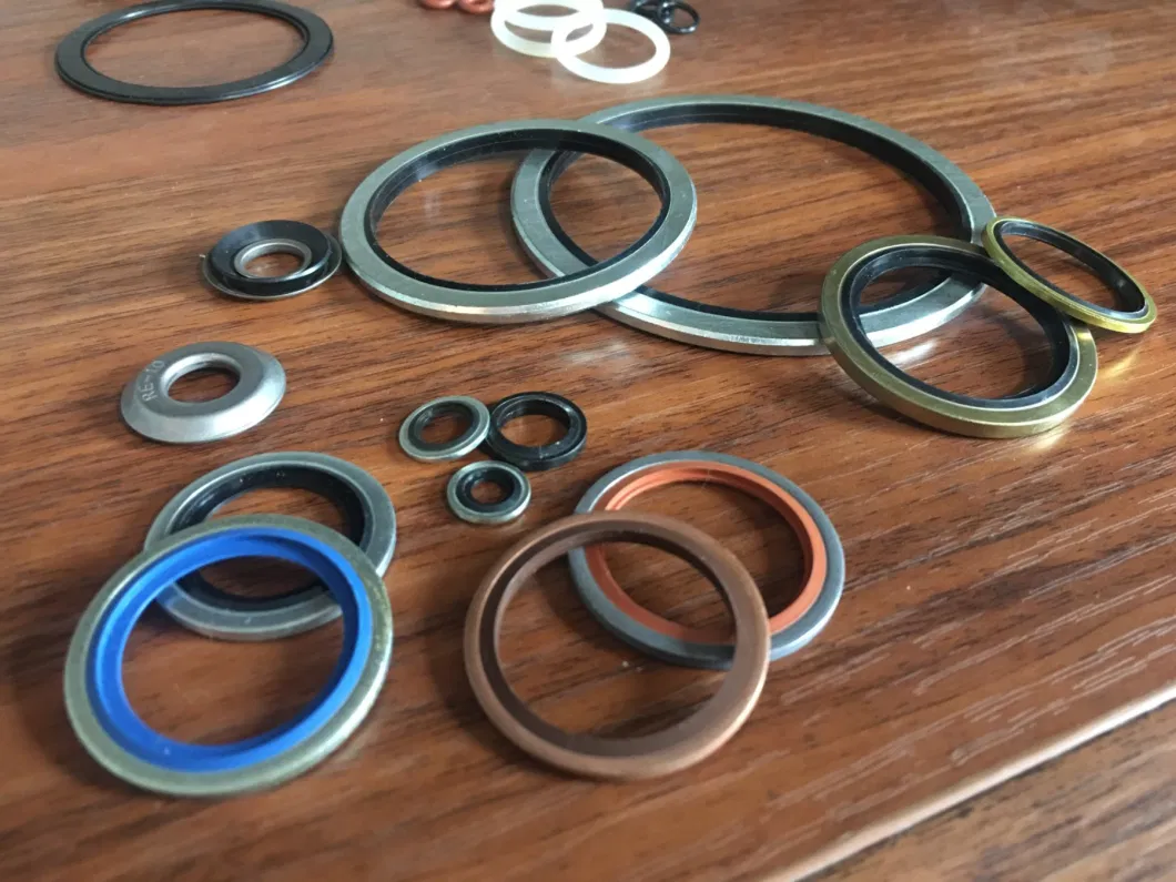Kendini Merkezileştiren 304 Paslanmaz Çelik Dowty Seal Gasket NBR Kauçuk Bağlı Seal Washer 2