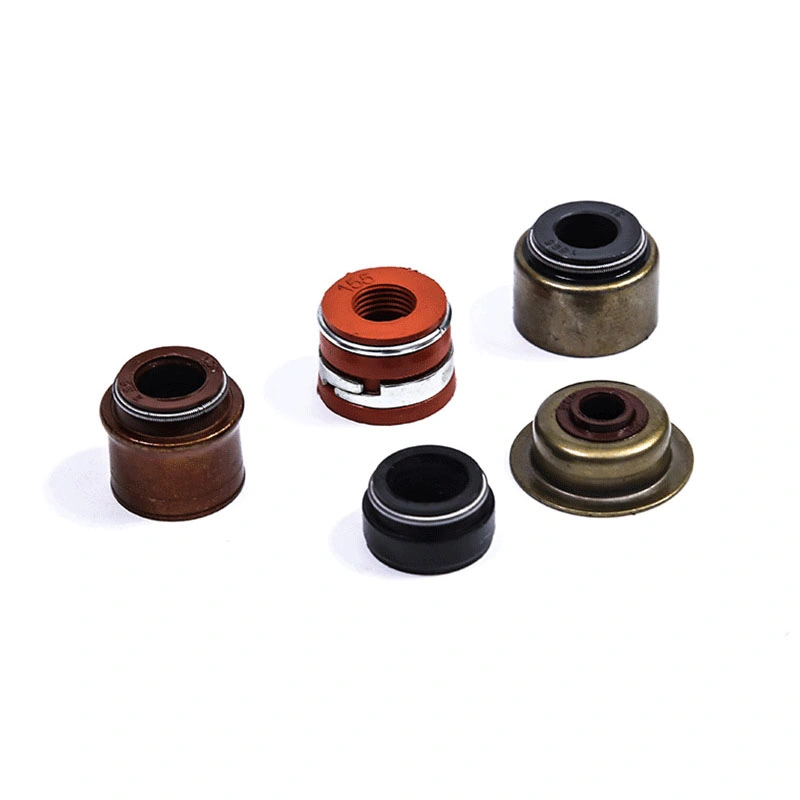 TCN O-Ring Skeleton Seal ve Kombine Yıkayıcı ile Petrol Mühürü 10