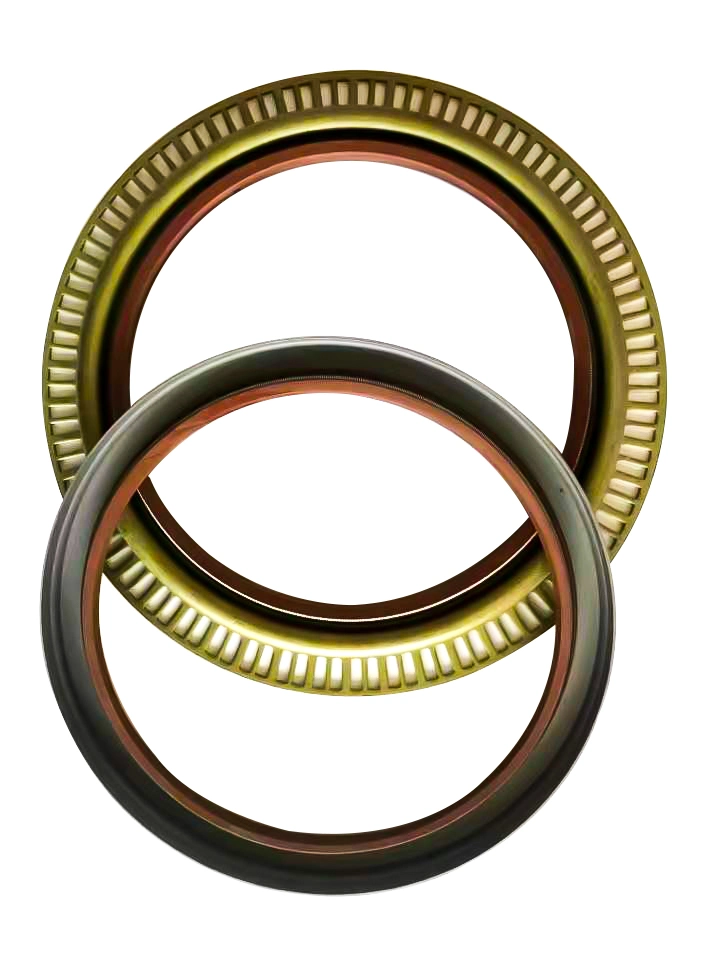 TCN O-Ring Skeleton Seal ve Kombine Yıkayıcı ile Petrol Mühürü 13