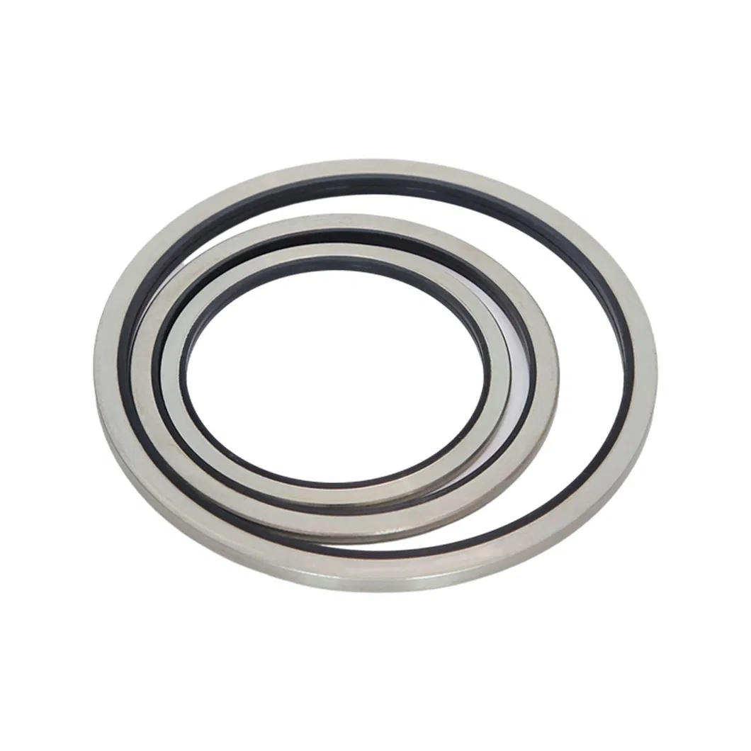 TCN O-Ring Skeleton Seal ve Kombine Yıkayıcı ile Petrol Mühürü 16